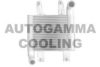 AUTOGAMMA 104963 Intercooler, charger